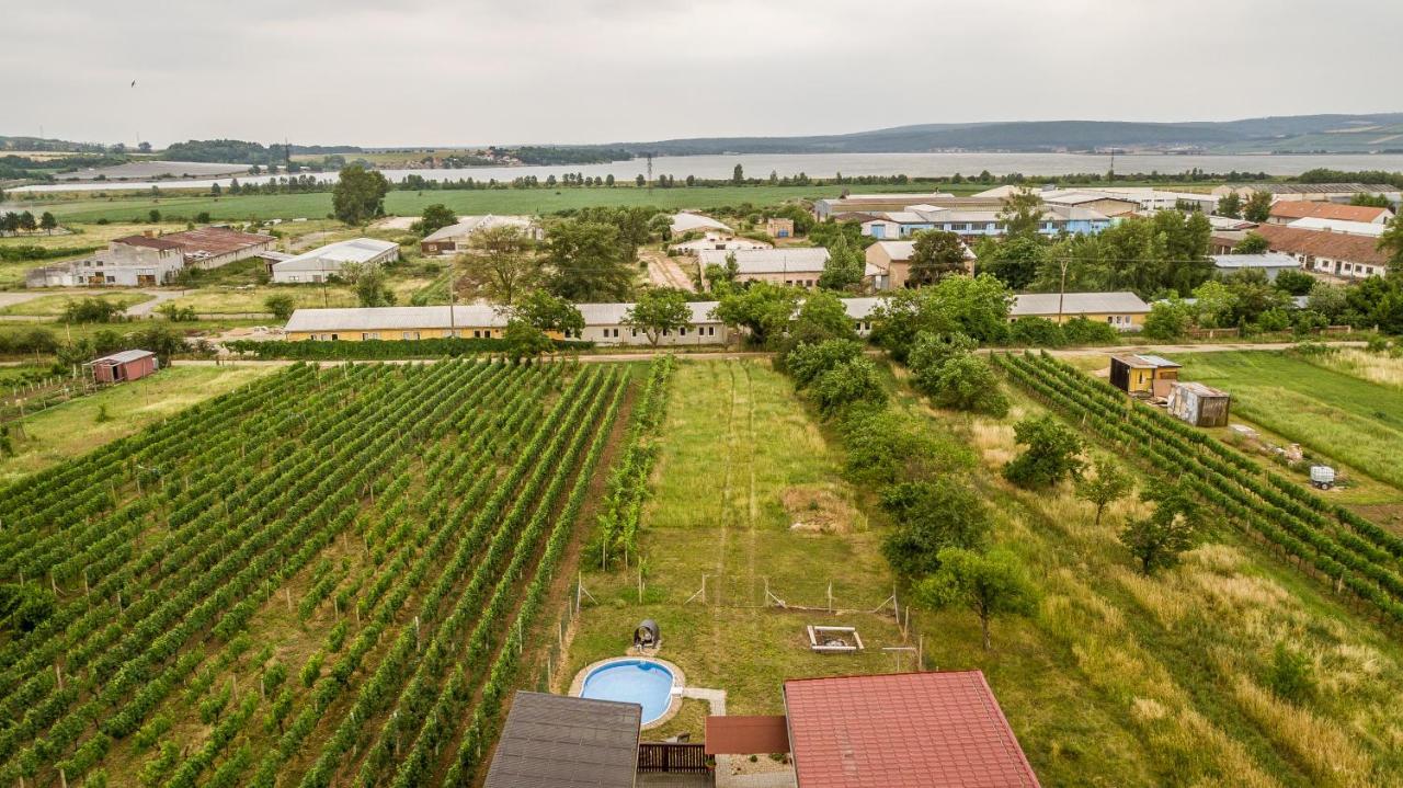 Penzion S Restauraci Na Furhaple Šakvice Exteriör bild